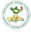 The Nursing Scope logo